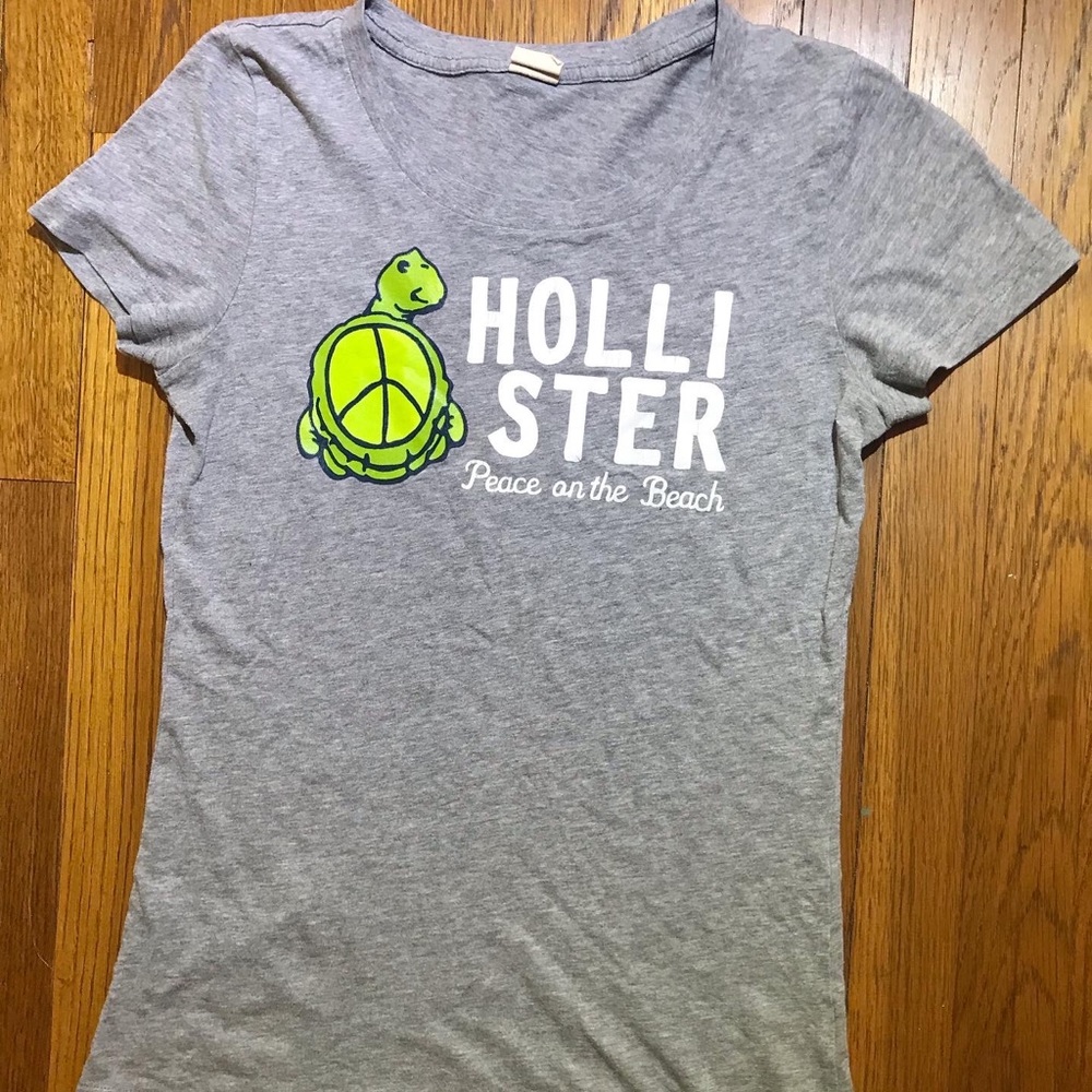 Gray Hollister Turtle Tee - like new